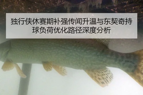 du-xing-xia-xiu-sai-qi-bu-qiang-chuan-wen-sheng-wen-yu-dong-qi-qi-chi-qiu-fu-he-you-hua-lu-jing-shen-du-fen-xi-2-648.jpg